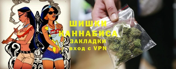 spice Верея