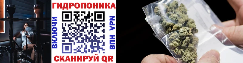 Канабис SATIVA & INDICA  Яровое 